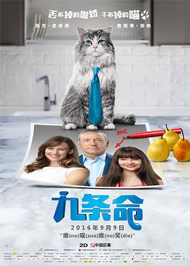 王的vk